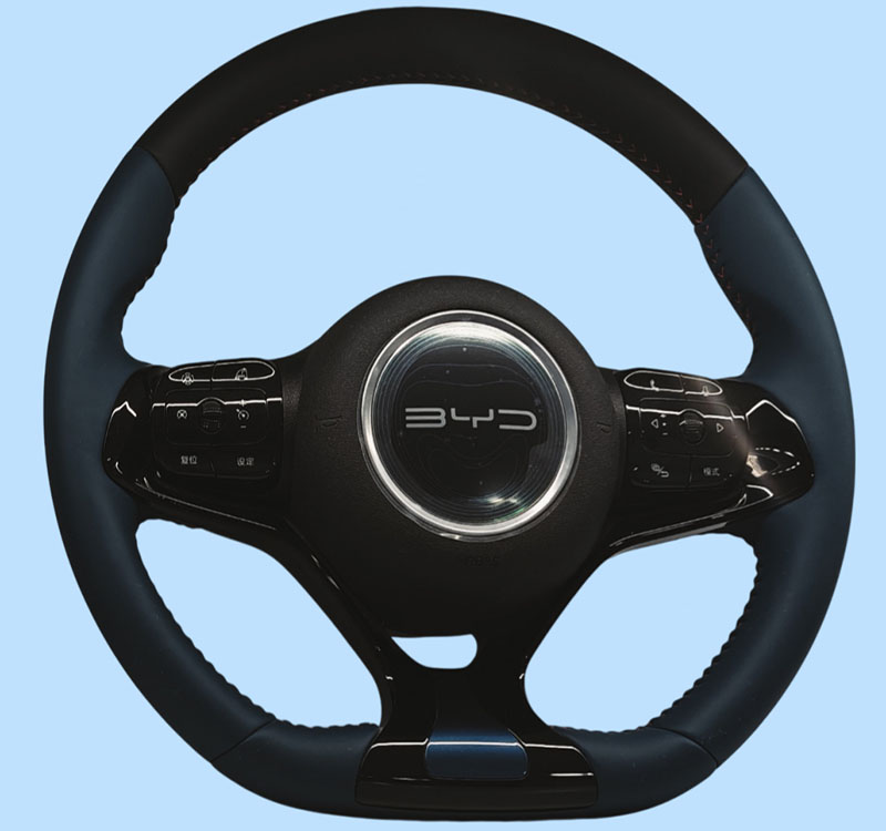 BYD 海鷗、海豚 E2（HOD）